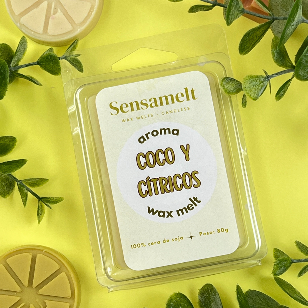 NOIX DE COCO & AGRUMES - Wax melts